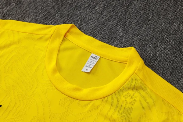 Borussia Dortmund Training Football Shirt 2024/2025 details