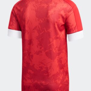 Russia Home Football Shirt 2020/2021 back