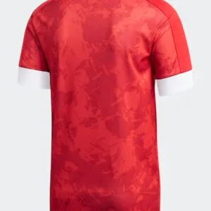 Russia Home Football Shirt 2020/2021 back