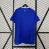 Argentina Away Football Shirt 2024:2025 Back