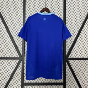 Argentina Away Football Shirt 2024:2025 Back