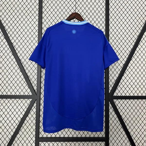 Argentina Away Football Shirt 2024:2025 Back