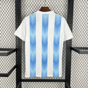 Argentina Home Football Shirt 2018:2019 Back