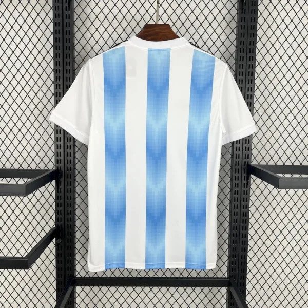 Argentina Home Football Shirt 2018:2019 Back