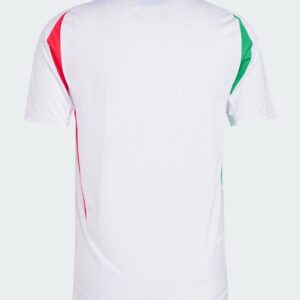 Italy Away Football Shirt 2024:2025 Back