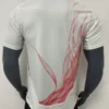 Japan Away Football Shirt 2024:2025 Back