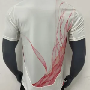 Japan Away Football Shirt 2024:2025 Back