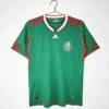 Mexico Home Football Shirt 2010:2011