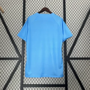 Netherlands x Crystal Lion Football Shirt 2024:2025 Back