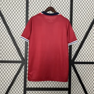 Norway Home Football Shirt 2024:2025 Back