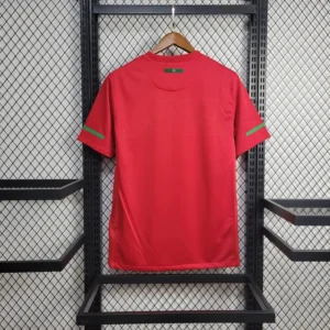 Portugal Home Football Shirt 2010:2011 Back
