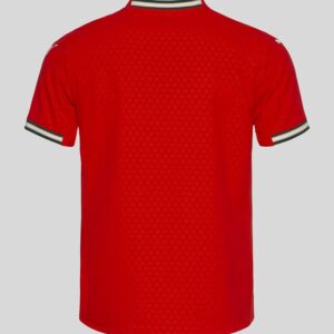 Portugal Home Football Shirt 2025:2026 Back