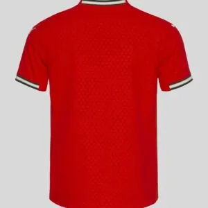 Portugal Home Football Shirt 2025:2026 Back