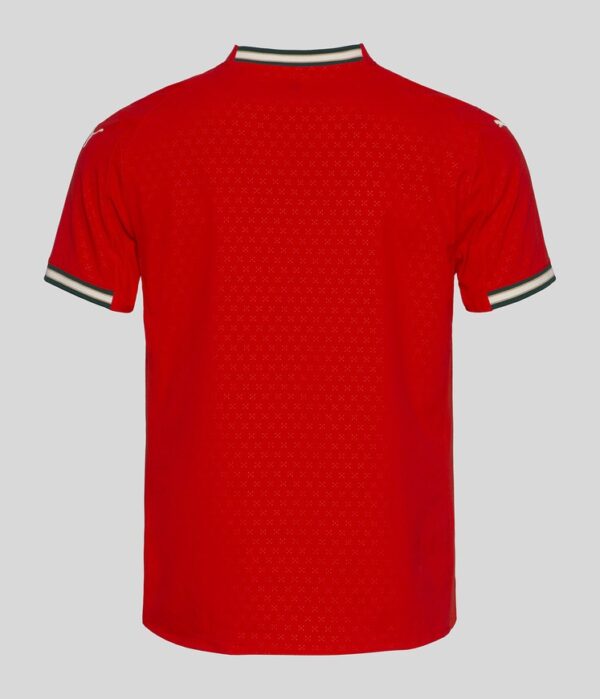 Portugal Home Football Shirt 2025:2026 Back