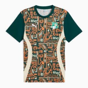 Ivory Coast Training Football Shirt 2024/2025