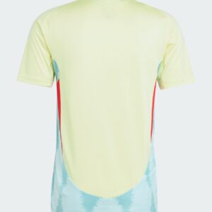 Spain Away Football Shirt 2024:2025 Back