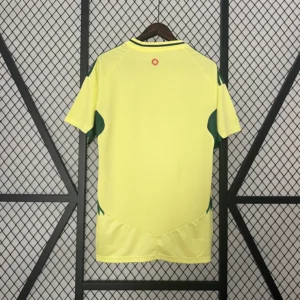 Wales Away Football Shirt 2024:2025 Back