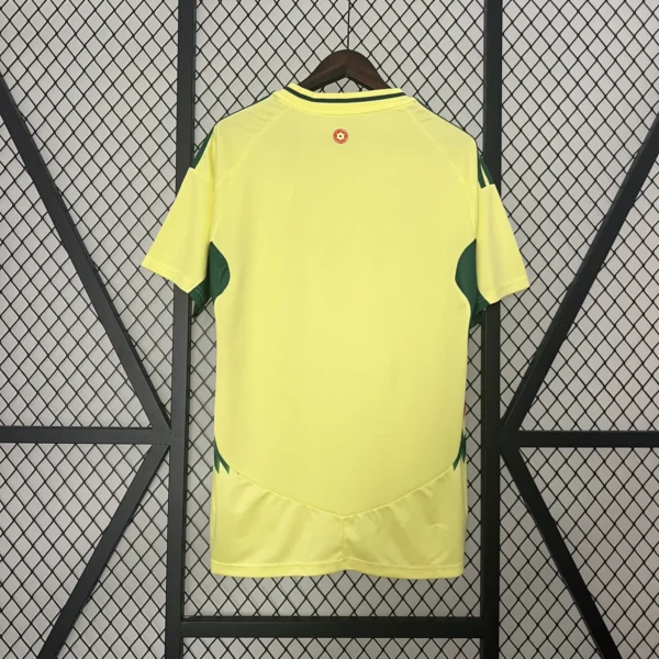 Wales Away Football Shirt 2024:2025 Back