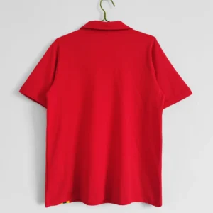 Wales Home Football Shirt 1976:1977 Back