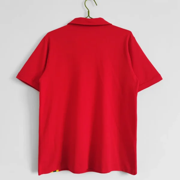 Wales Home Football Shirt 1976:1977 Back