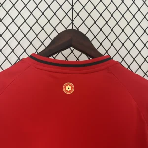 Wales Home Football Shirt 2024:2025 Back