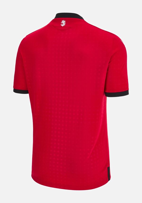 Egypt Home Football Shirt 2024/2025 back