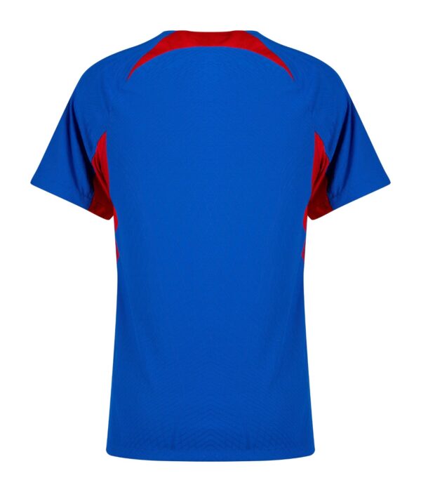Slovakia Home Football Shirt 2024/2025 back