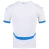 Czech Away Football Shirt 2024/2025 back