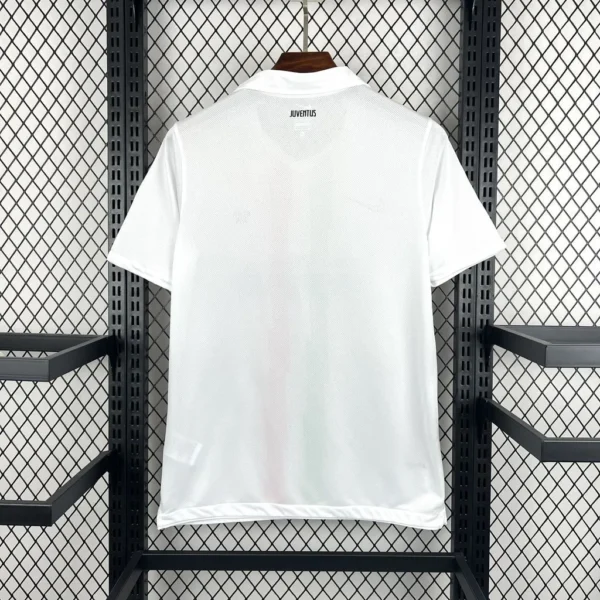 Juventus Balocco Away Football Shirt 2010:2011 Back